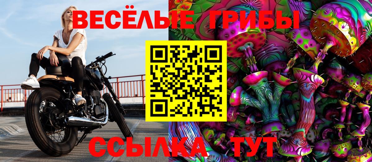 Назарово  Галлюциногенные грибы Cubensis  Вход с VPN 