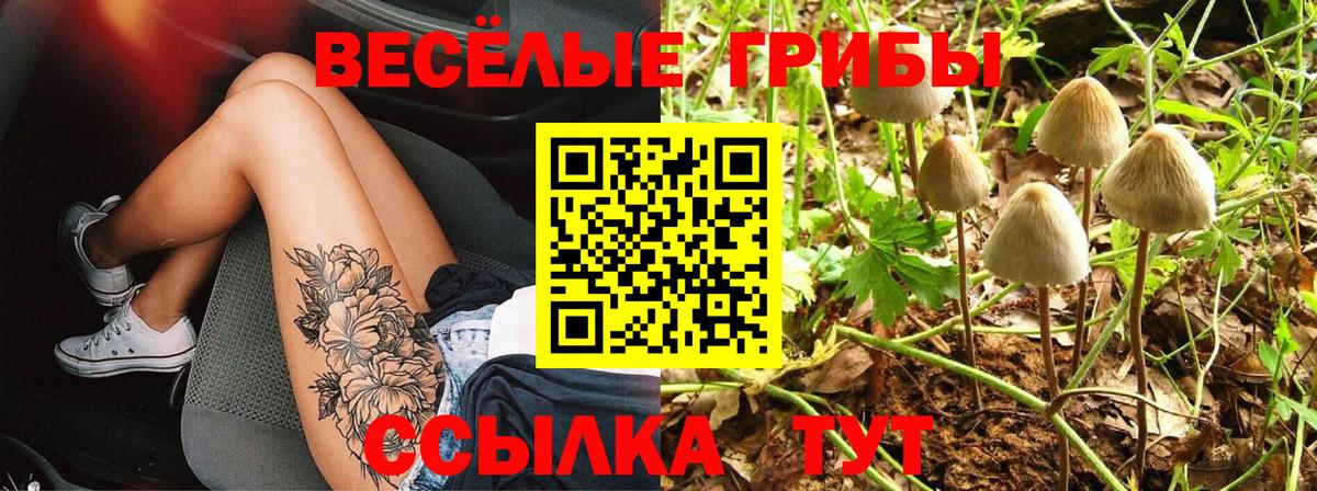 Псилоцибиновые грибы мицелий Назарово
